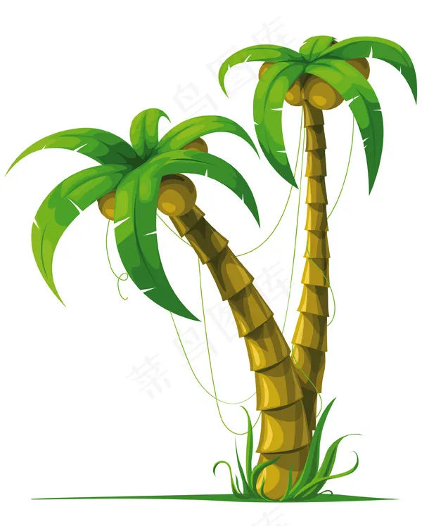 夏日椰树