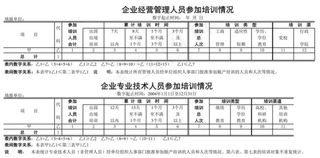 企业人员培训情况表