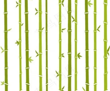 竹子图片