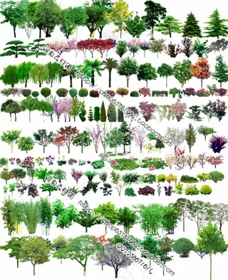 园林设计后期时尚效果素材