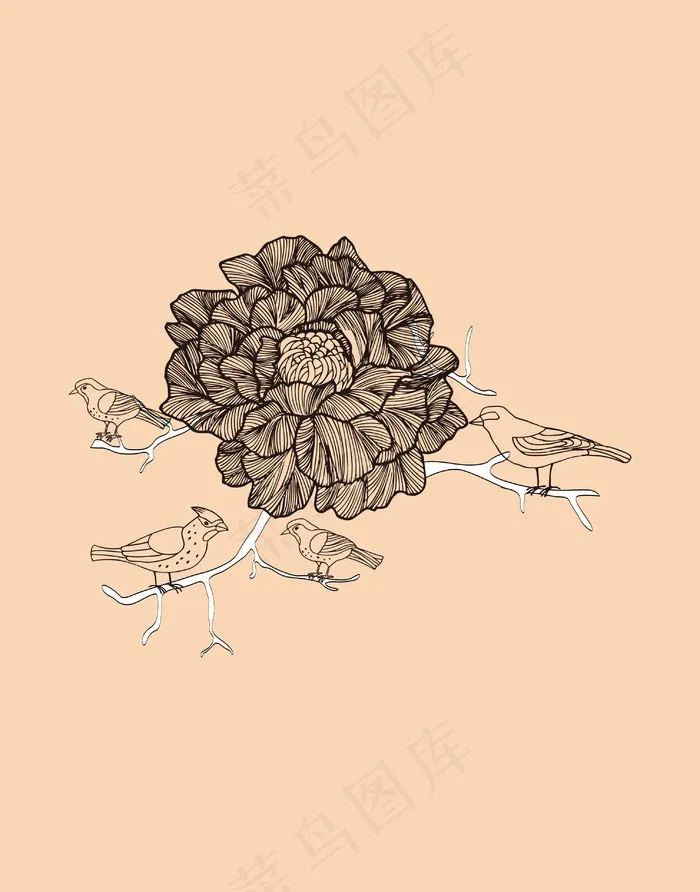 植物花卉鸟cdr矢量模版下载
