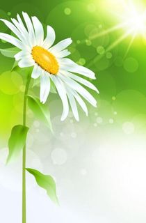 精美鲜花矢量素材