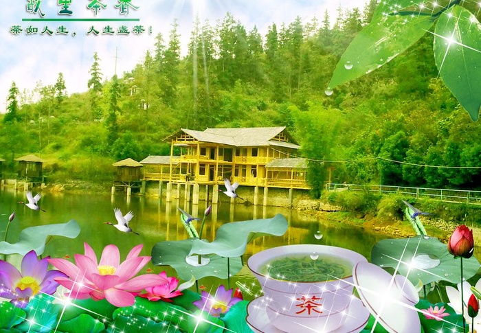故里茶语图片(2048X1536(DPI:300))psd模版下载