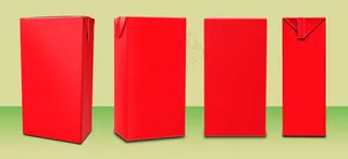 水果干包装样机