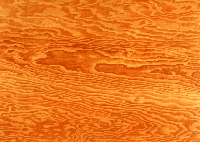 橙色密集线条木纹