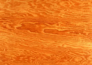 橙色密集线条木纹