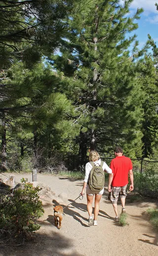 徒步旅行者和小狗