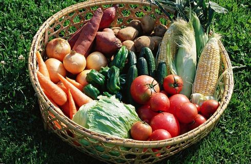 草地蔬菜篮图片