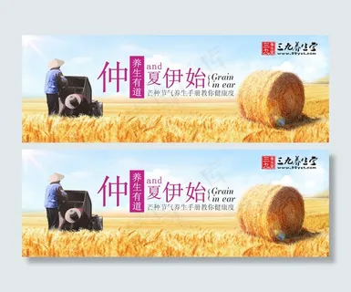 芒种节气养生攻略高清PSD免费素材