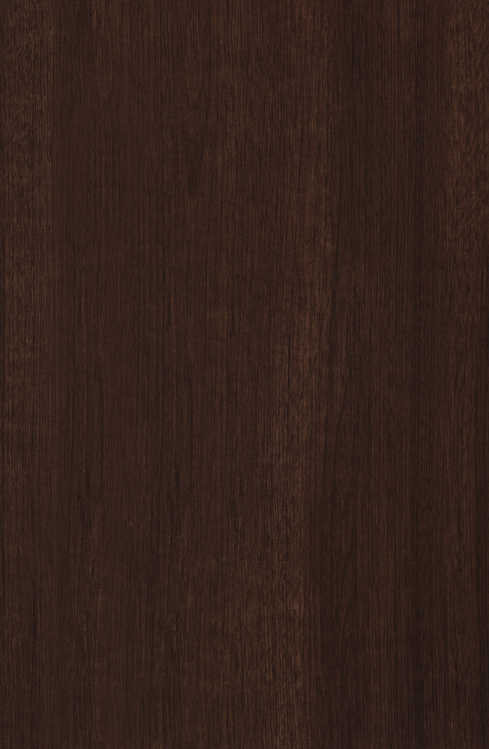 CAMELGROUP FIRENZ...