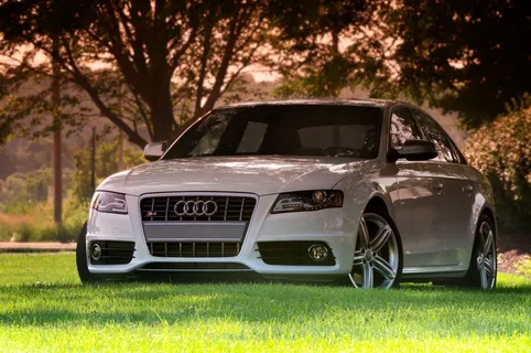 草地上的奥迪轿车图片