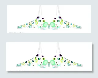 内衣素材文胸模板图片