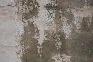 动态字幕快闪企业宣传炫酷文字展示宣传动态字幕快闪企业宣传炫酷