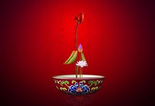 地产 红色主题 中国风 毛笔字 荷...