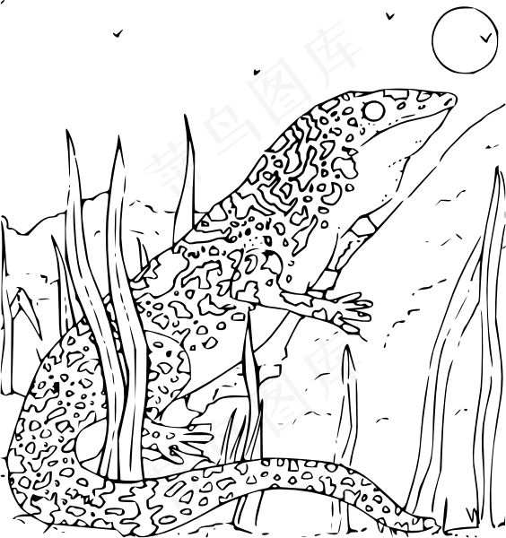 着色书监控壁虎剪贴画