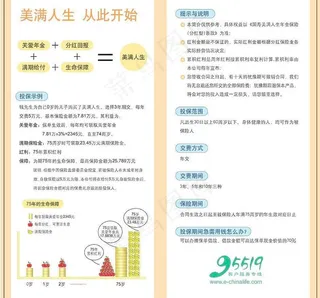 中国人寿二折页反面图片