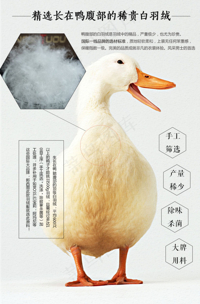 90%白鸭绒详情页分层素材羽绒服必...psd模版下载