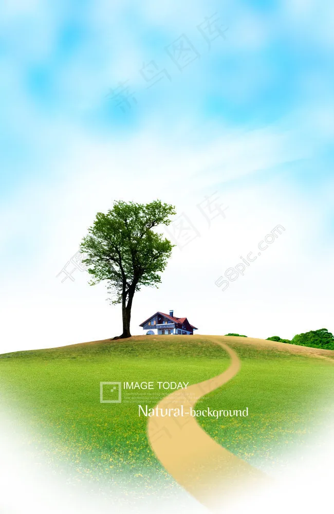 草地上的弯曲小路和绿树