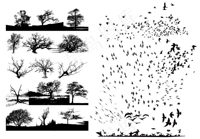 矢量树和飞鸟ai矢量模版下载