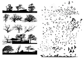 矢量树和飞鸟