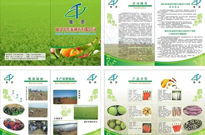 集泰种养有限公司简介图片cdr矢量模版下载