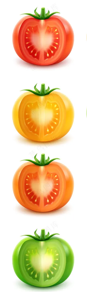 四款不同颜色的西红柿矢量素材
