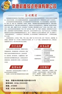常德财鑫投资担保活动展板 常德财鑫投资担保活动展板
