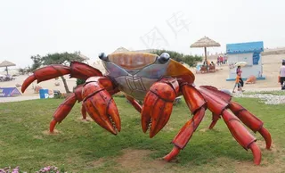 螃蟹图片