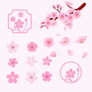 各种樱花插图