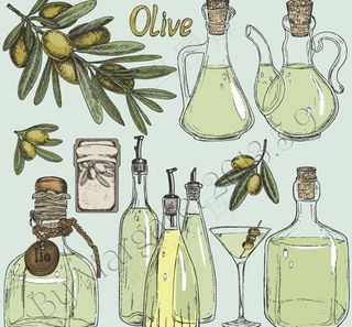 橄榄油瓶子图片