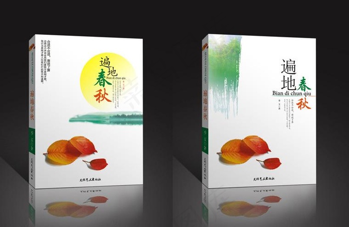 遍地春秋图书封面图片cdr矢量模版下载