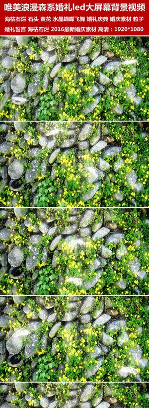 唯美浪漫森系婚礼背景石头黄花led...