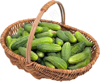 实物黄瓜PNG免抠餐饮美食海报设计...