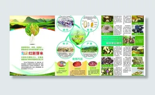 云南生态米b面图片