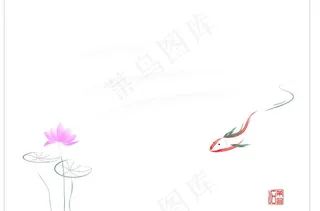 荷花鱼图片