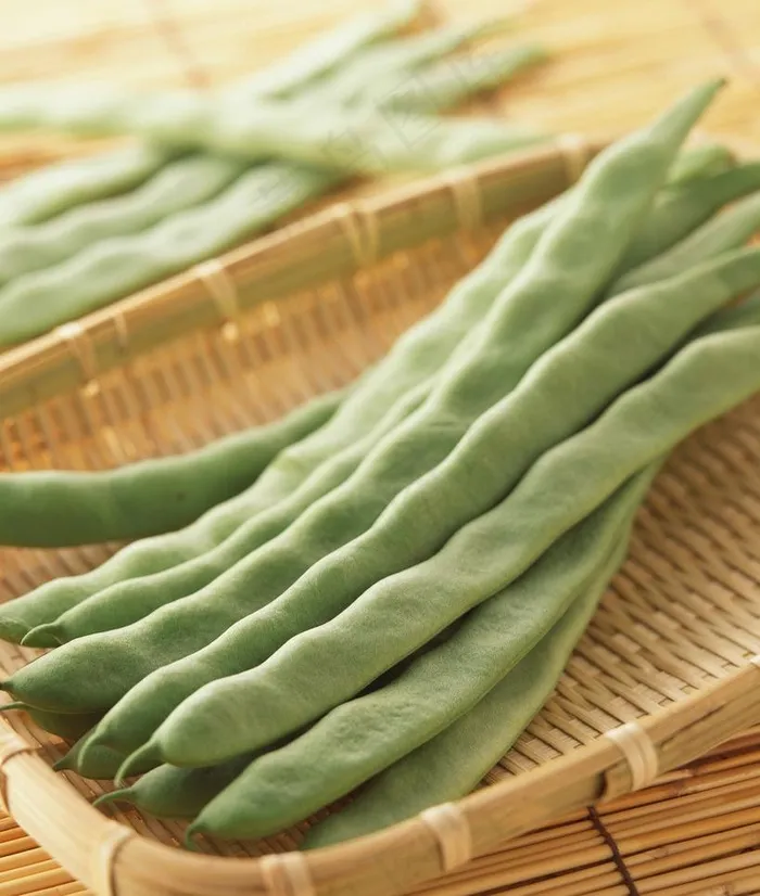 四季豆