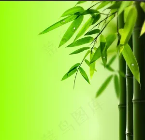 竹叶水滴素材PSD