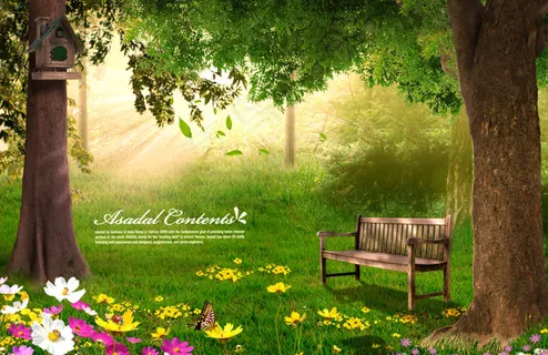 绿野仙踪树林风景图片