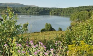 春天山水风景图片