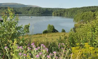 春天山水风景图片