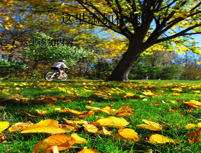 落叶草地大树风景高清PPT模板范...