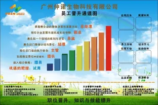 精品公司员工墙