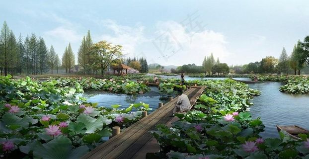 城市郊外荷塘月色图片