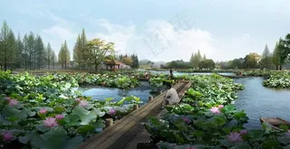 城市郊外荷塘月色图片