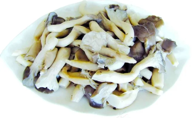 香菇psd模版下载