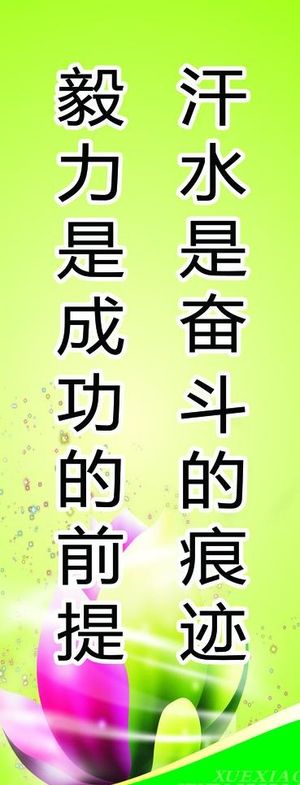 毅力是成功的前提汗水是奋斗的痕迹图...