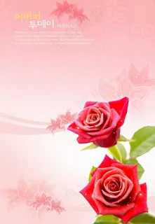 粉红色玫瑰底图图片