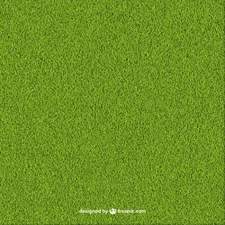 草绿色的背景