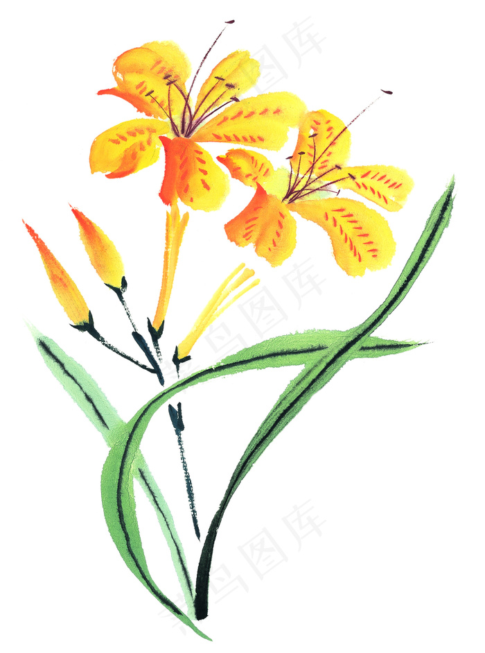 萱草花卉艺术