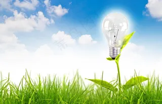 绿色能源图片